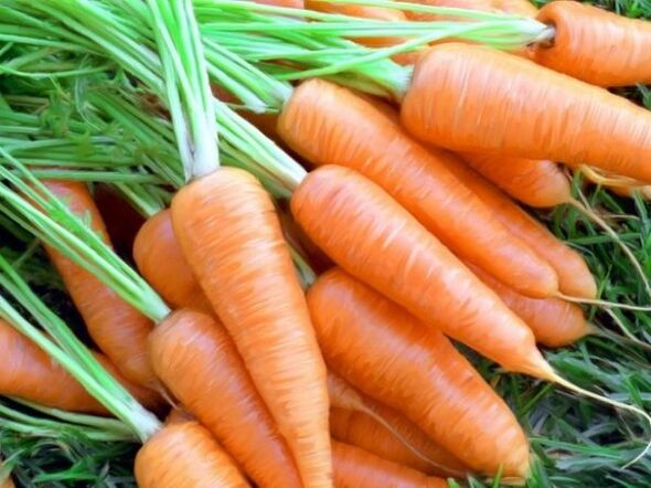 масло от моркови и моркови за подмладяване на кожата